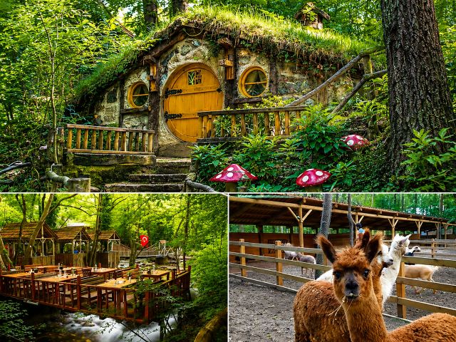Maşukiye, Cam Teras ve Ormanya Günübirlik Turu: Hobbit Evleri – GTKC01 — fotoğraf 3