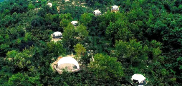 Phalesia Glamping Otel Sapanca